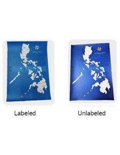 Philippines 17 Regions Control Map 2