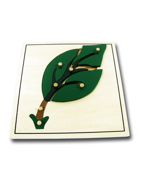 Leaf Puzzle