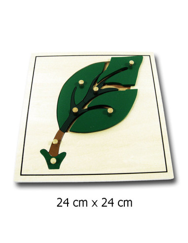 Leaf Puzzle