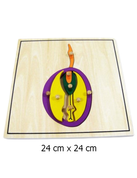 Seed Puzzle Seed Puzzle
