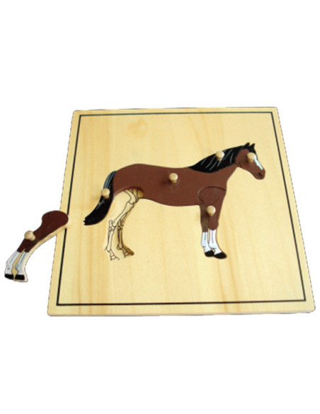 Horse Puzzle Skeleton