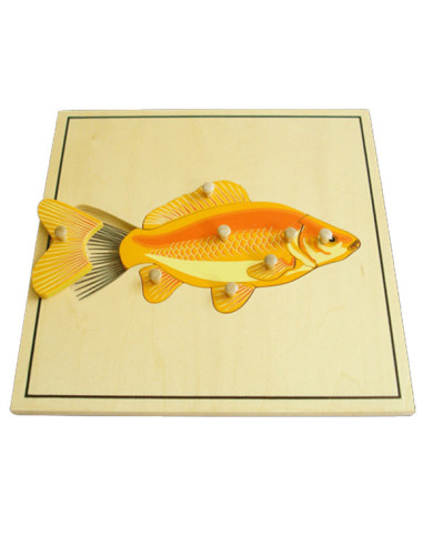 Fish Puzzle Skeleton