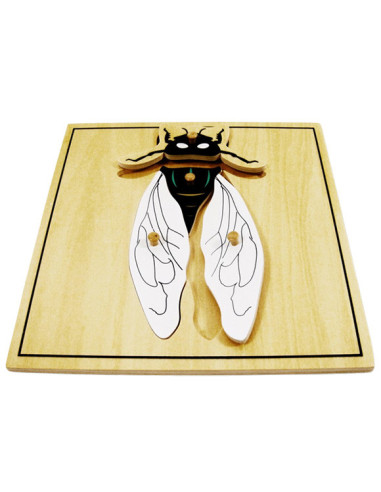 Fly Puzzle