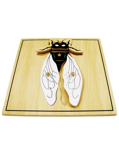 Fly Puzzle Fly Puzzle