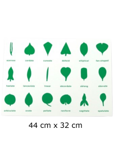 Control Chart - for BPM016