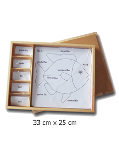 Set for Zoology Activity