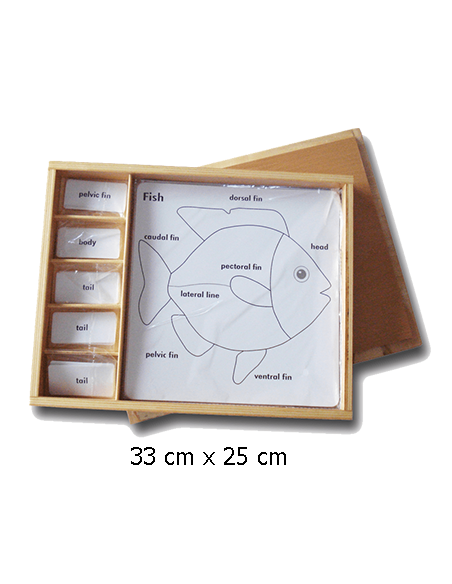 Set for Zoology Activity