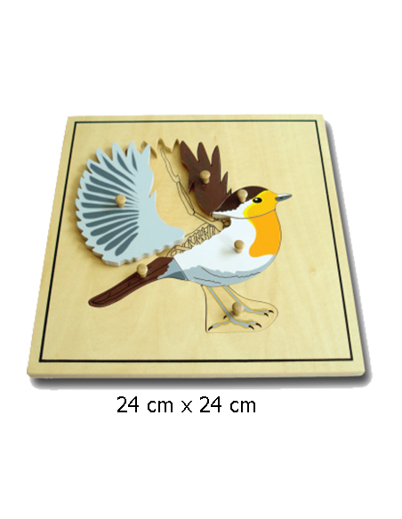 Bird Puzzle Skeleton