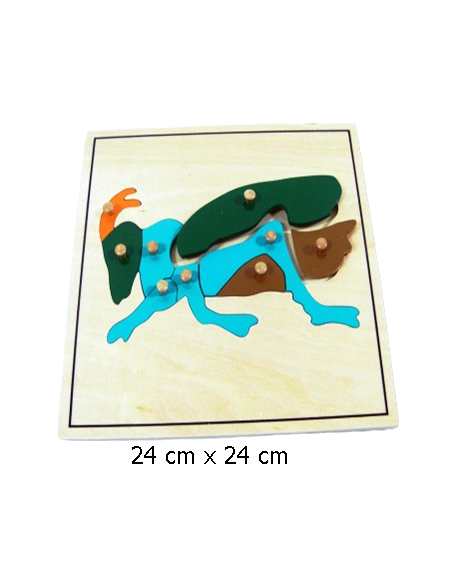 Cricket Puzzle Cricket Puzzle