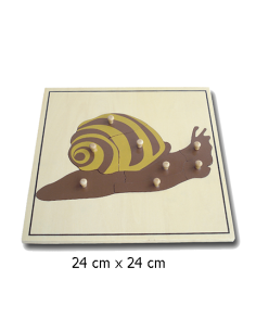 Snail Puzzle