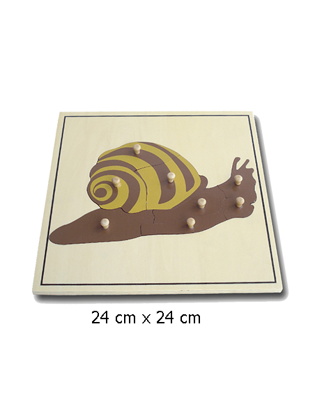 Snail Puzzle