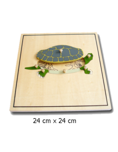 Turtle Puzzle Skeleton
