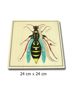 Wasp Puzzle