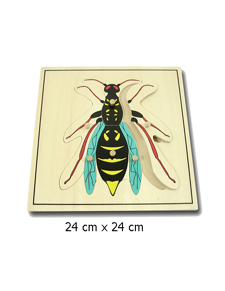 Wasp Puzzle Wasp Puzzle