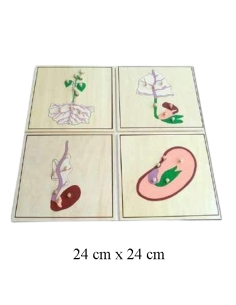 Growing Process Puzzle