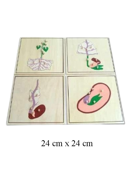 Growing Process Puzzle