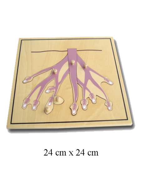Root Puzzle Root Puzzle