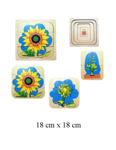 Growing Process of Sunflower