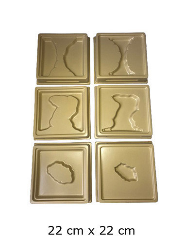 Land and Water Form Trays (6 pieces plastic trays)