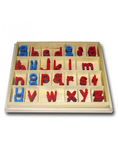 Movable Alphabet in Wood - Print  - Medium Size