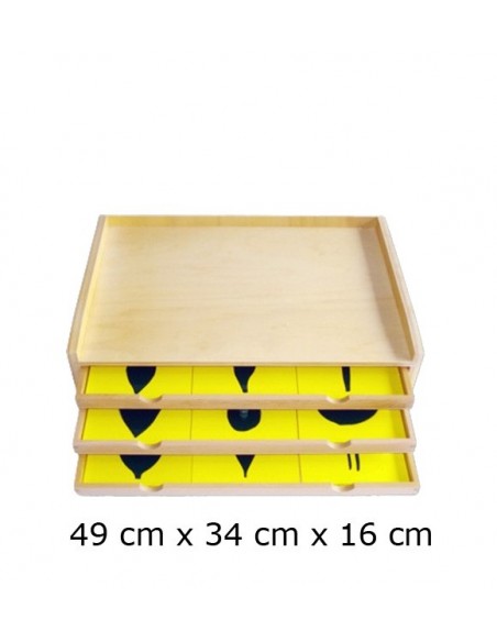 Botany Cabinet - 18 Leaf Shape Insets