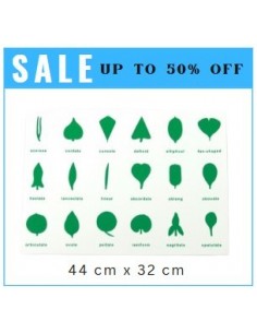 Control Chart - for BPM016