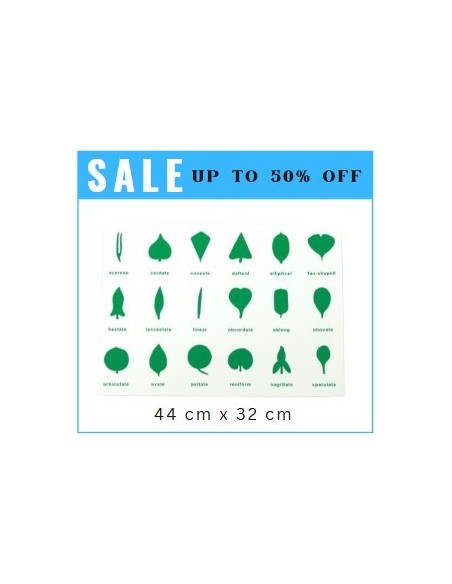 Control Chart - for BPM016