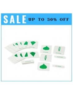 Nomenclature Cards - for BPM016