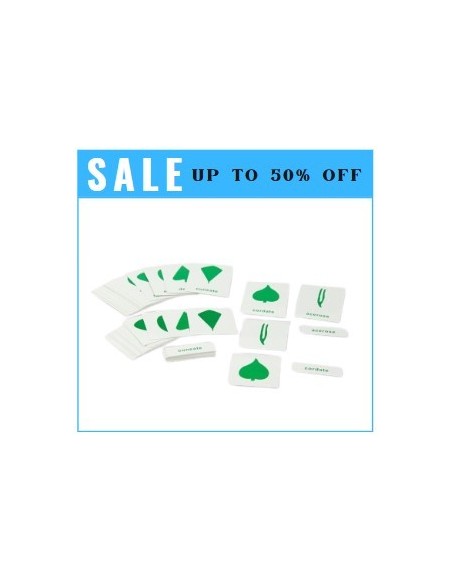 Nomenclature Cards - for BPM016