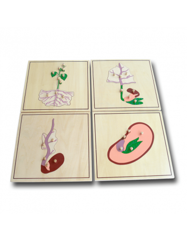 Growing Process Puzzle