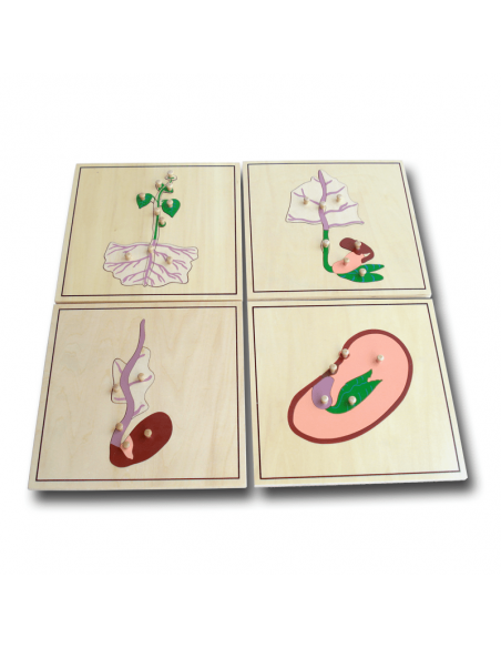 Growing Process Puzzle