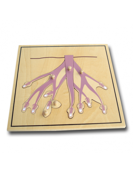 Root Puzzle Root Puzzle