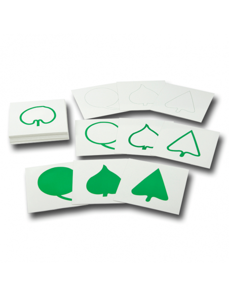 Leaf Cards Leaf Cards