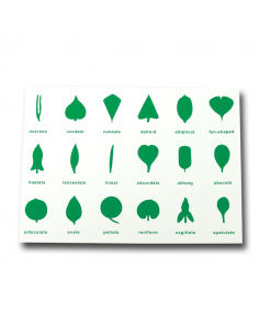 Control Chart - for BPM016 2