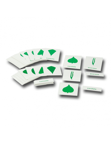 Nomenclature Cards Nomenclature Cards