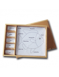 Set for Zoology Activity 2