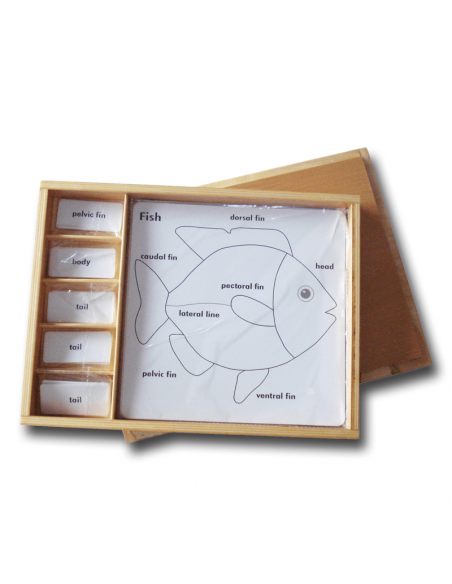 Set for Zoology Activity