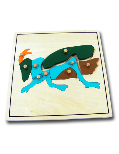 Cricket Puzzle