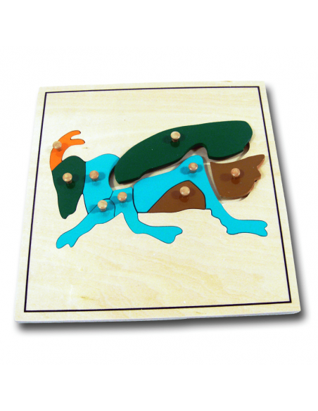 Cricket Puzzle Cricket Puzzle