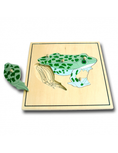 Frog Puzzle Skeleton 2