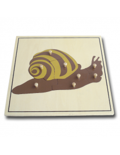 Snail Puzzle 2