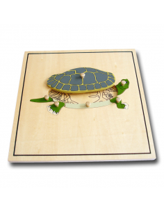 Turtle Puzzle Skeleton 2