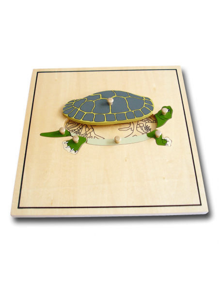 Turtle Puzzle Skeleton Turtle Puzzle Skeleton