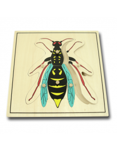 Wasp Puzzle 2