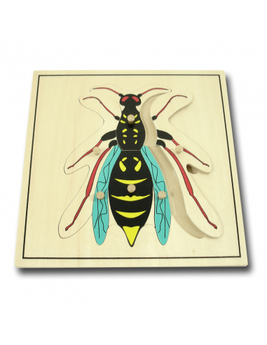 Wasp Puzzle