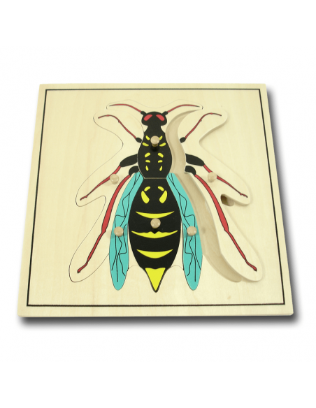 Wasp Puzzle Wasp Puzzle