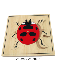 Ladybug Puzzle