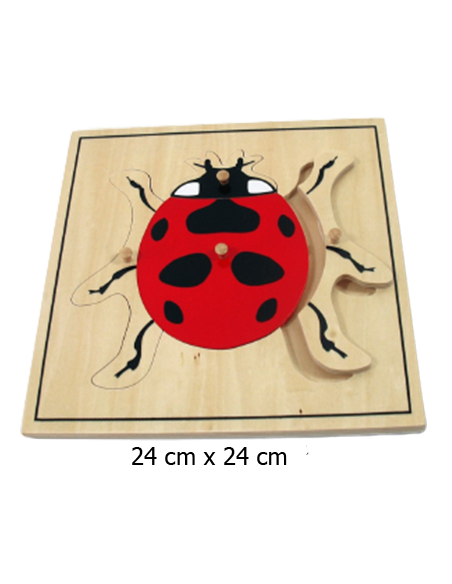 Ladybug Puzzle Ladybug Puzzle