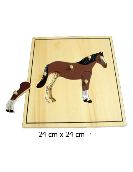 Horse Puzzle Skeleton
