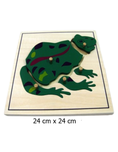 Frog Puzzle